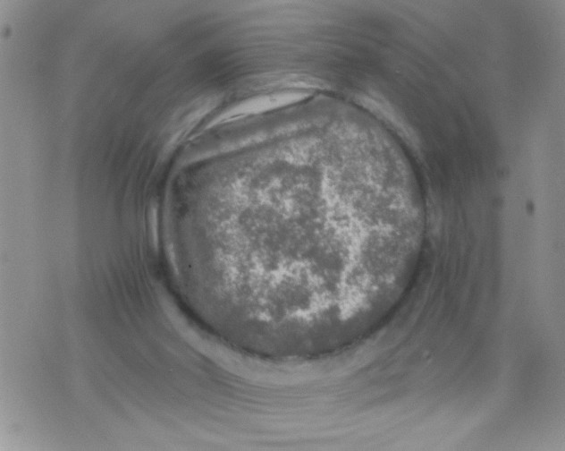 X0000073750014200608311946