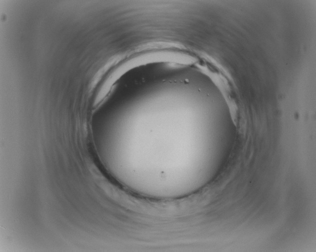 X0000073750015200608311946