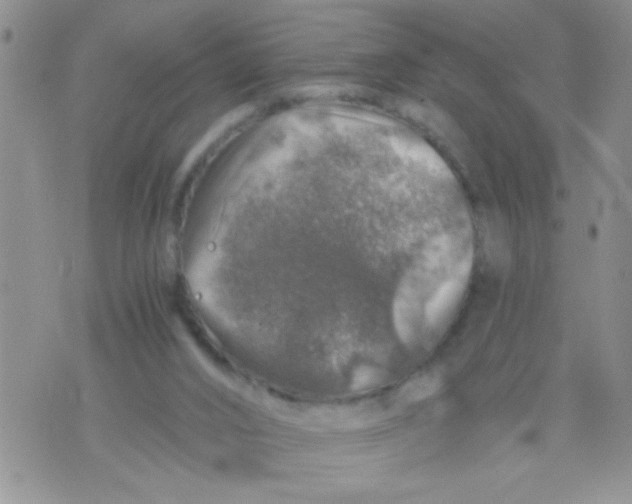 X0000073750016200608311946