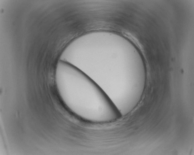 X0000073750017200608311946