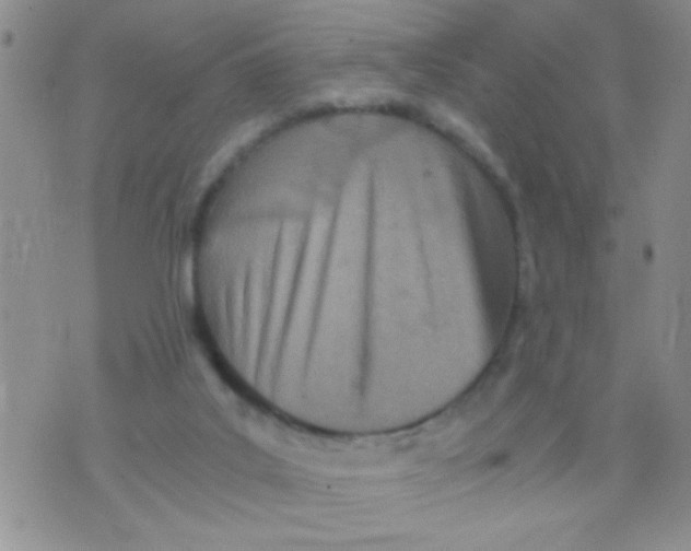 X0000073750019200608311946