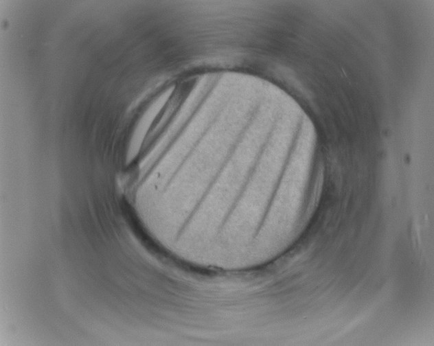 X0000073750020200608311946