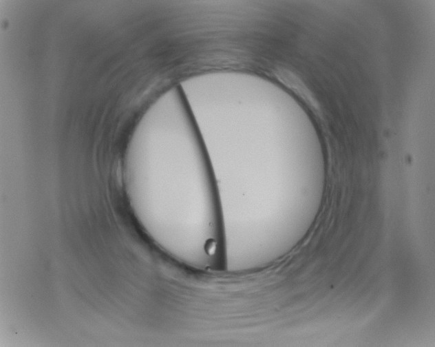 X0000073750021200608311946