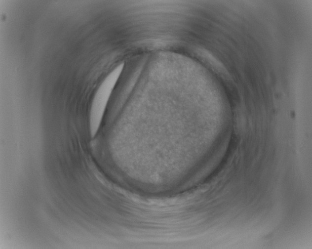 X0000073750022200608311946