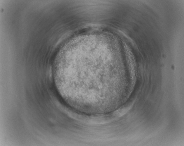 X0000073750024200608311946