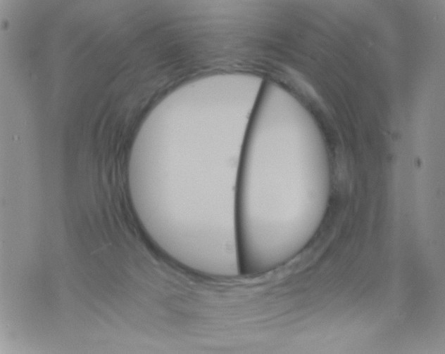 X0000073750025200608311946