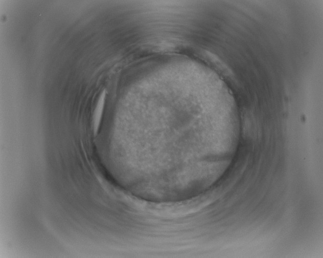 X0000073750026200608311946