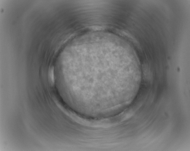 X0000073750028200608311946