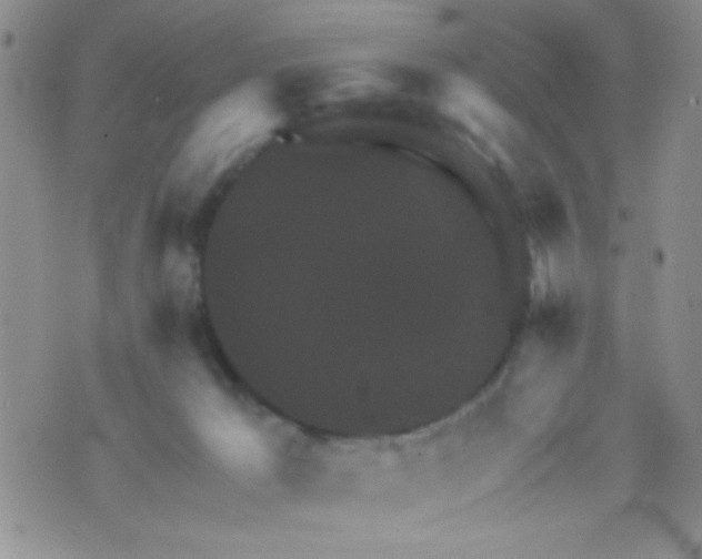 X0000073750029200608311946