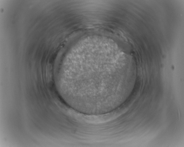 X0000073750030200608311946