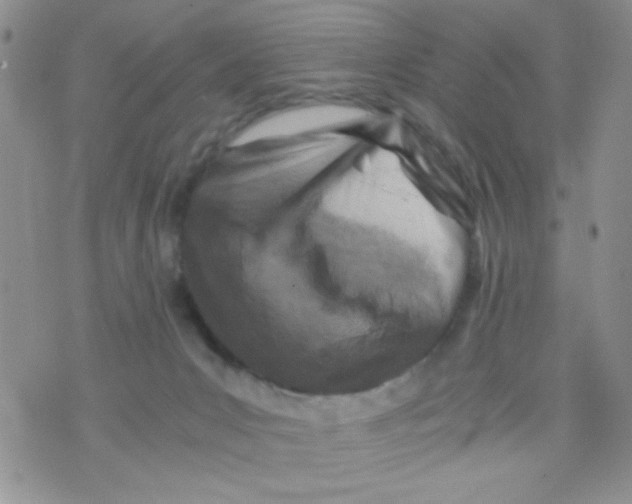 X0000073750031200608311946