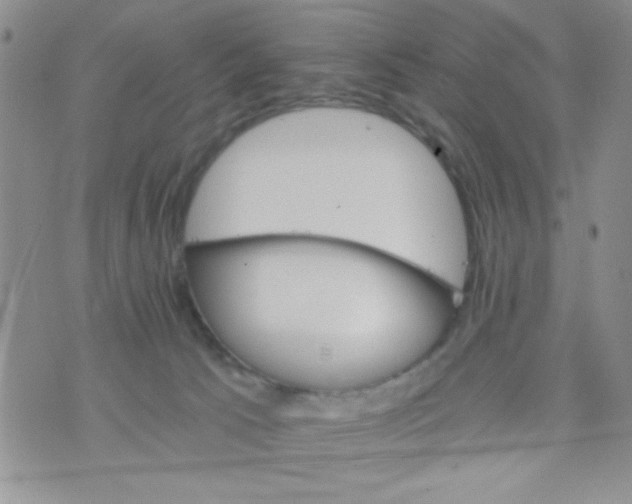 X0000073750033200608311946