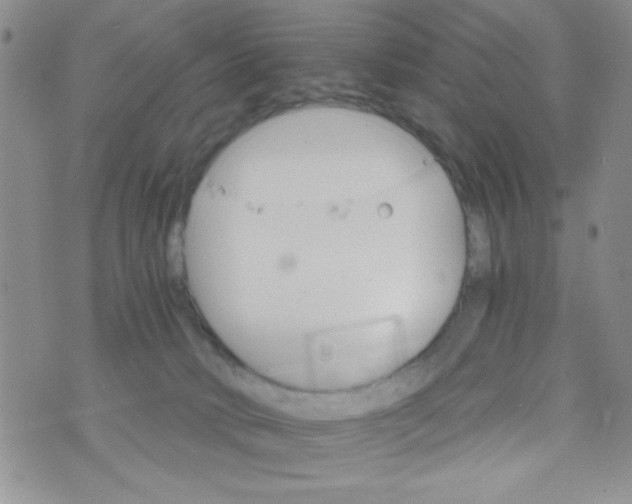 X0000073750034200608311946