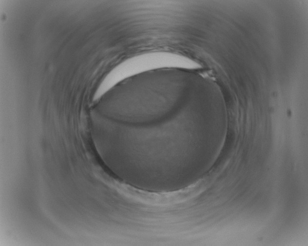 X0000073750035200608311946