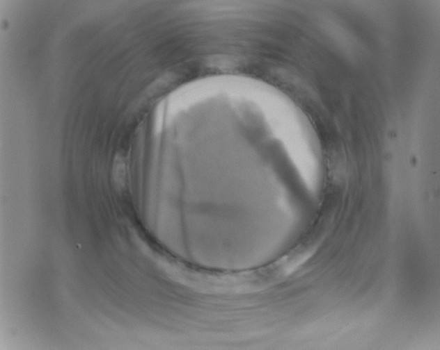 X0000073750036200608311946