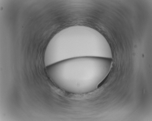 X0000073750037200608311946