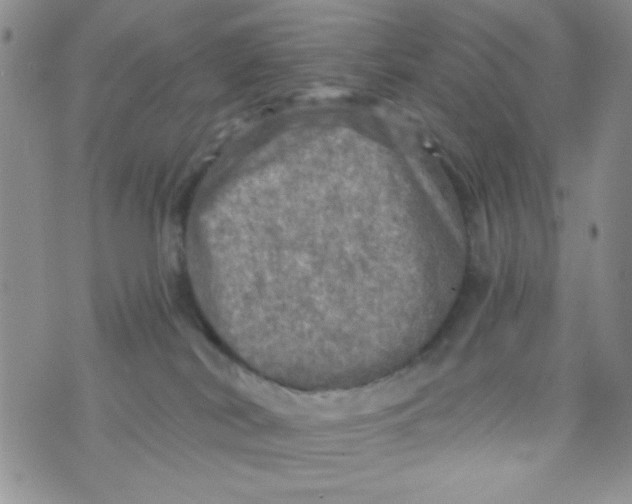 X0000073750038200608311946