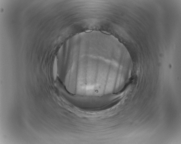 X0000073750039200608311946