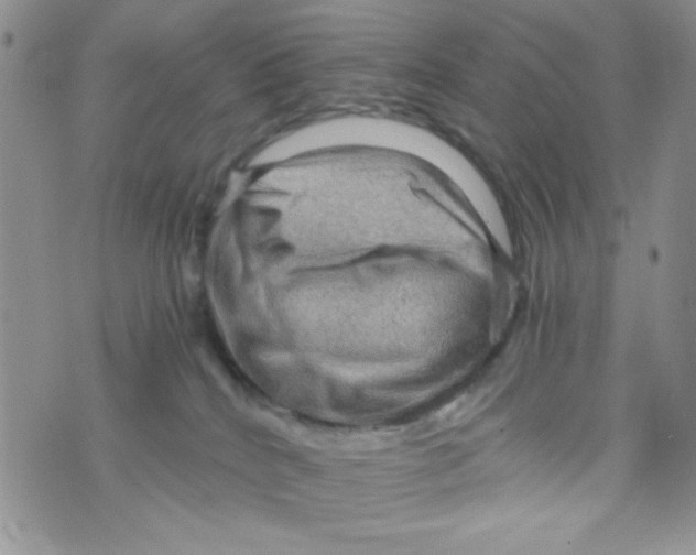 X0000073750040200608311946