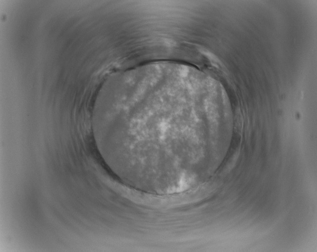 X0000073750043200608311946