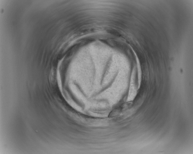 X0000073750044200608311946