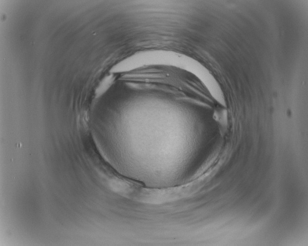 X0000073750045200608311946