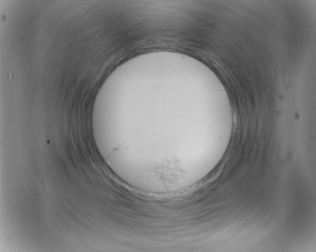 X0000073750046200608311946