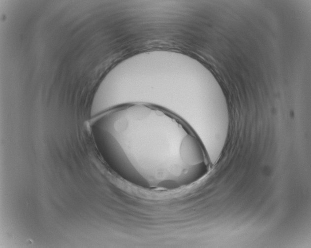 X0000073750047200608311946