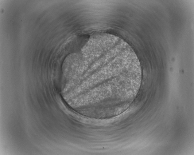 X0000073750048200608311946