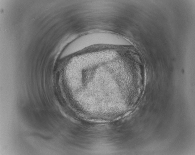 X0000073750050200608311945