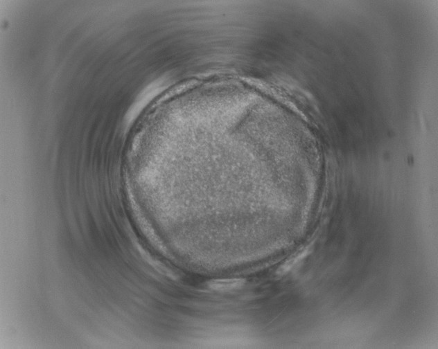 X0000073750051200608311945