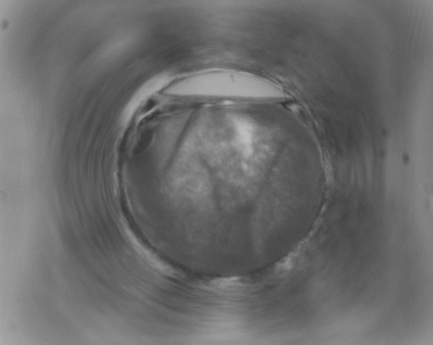 X0000073750054200608311945