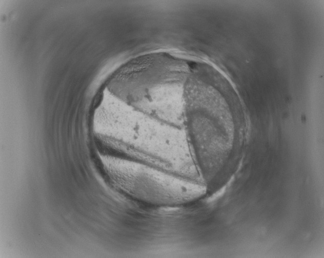 X0000073750055200608311945