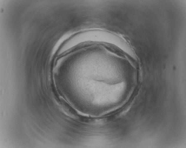 X0000073750056200608311945