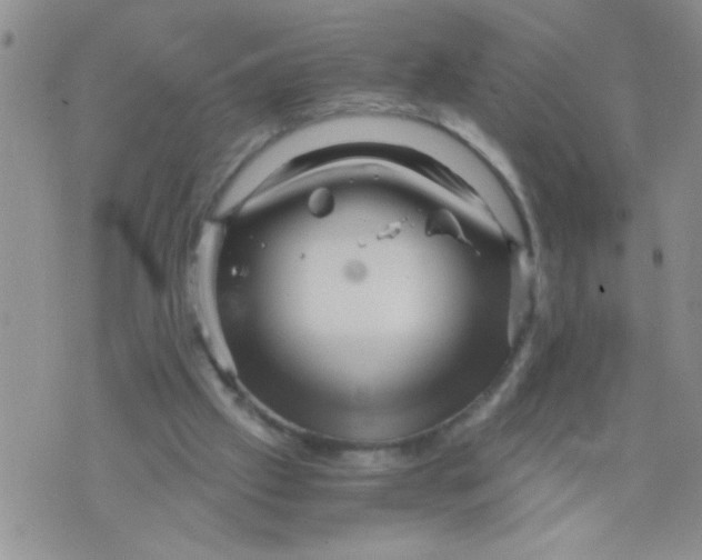 X0000073750057200608311945