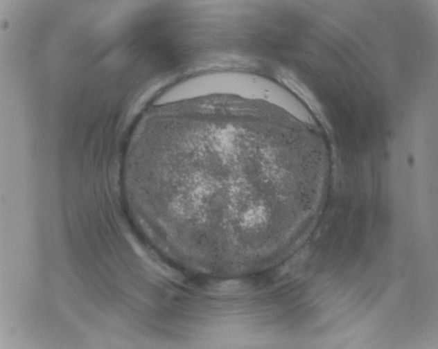 X0000073750058200608311945