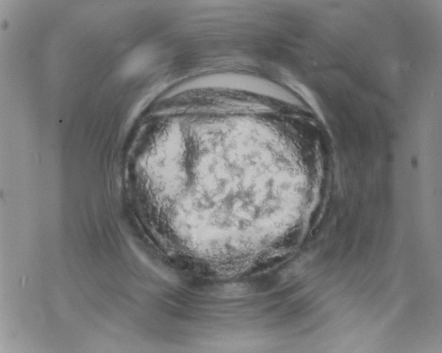 X0000073750059200608311945