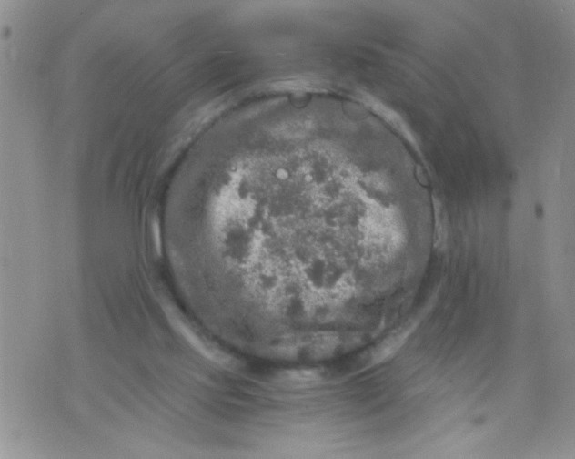 X0000073750061200608311945