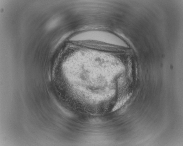 X0000073750062200608311945