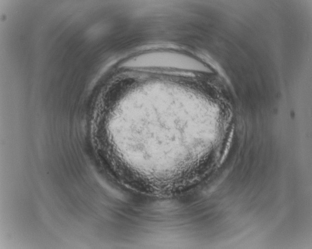 X0000073750063200608311945