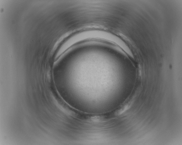 X0000073750064200608311945