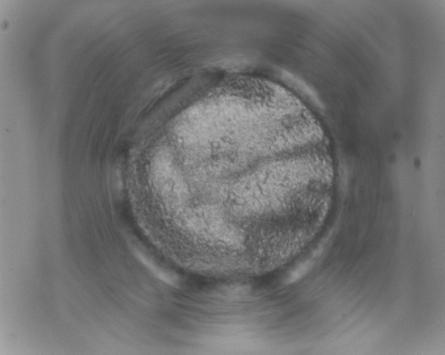 X0000073750065200608311945