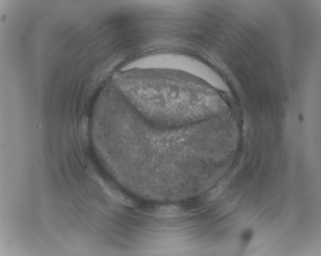 X0000073750066200608311945