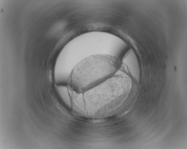 X0000073750067200608311945