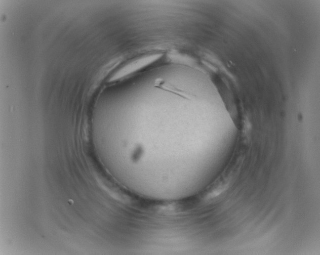 X0000073750068200608311945