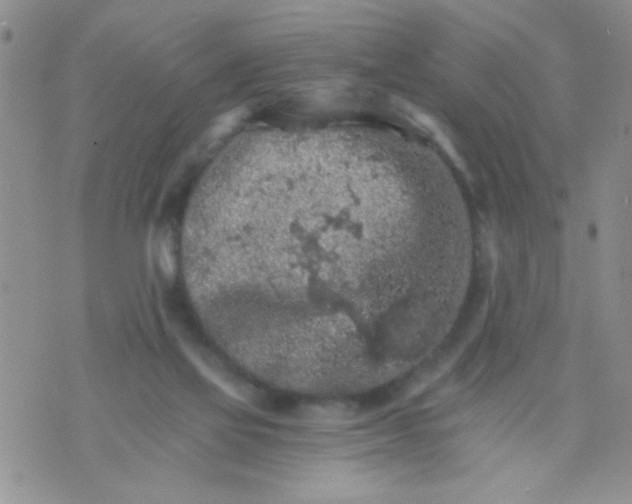 X0000073750069200608311945