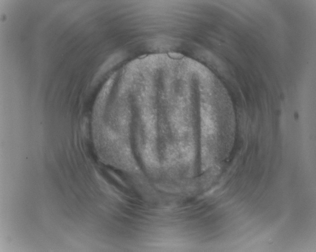 X0000073750071200608311946