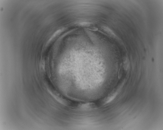 X0000073750072200608311946