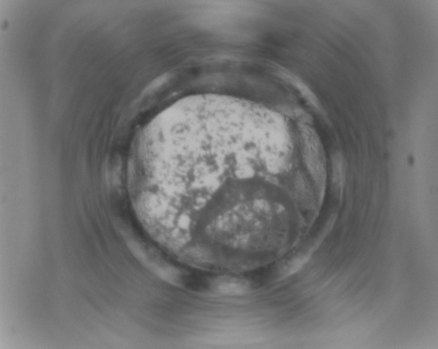 X0000073750073200608311946