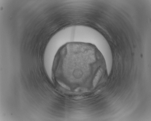 X0000073750075200608311946